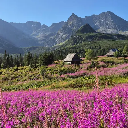 Resort Osrodek Wypoczynkowy Tatrzanska Zakopane