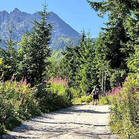 Resort Osrodek Wypoczynkowy Tatrzanska Zakopane