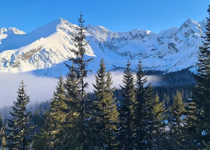 Osrodek Wypoczynkowy Tatrzanska Закопане